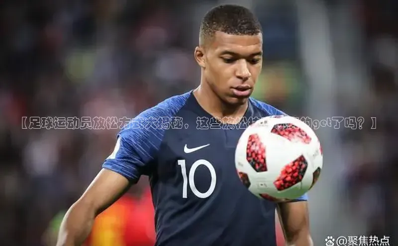 熊猫体育手机版下载极氪智能科技