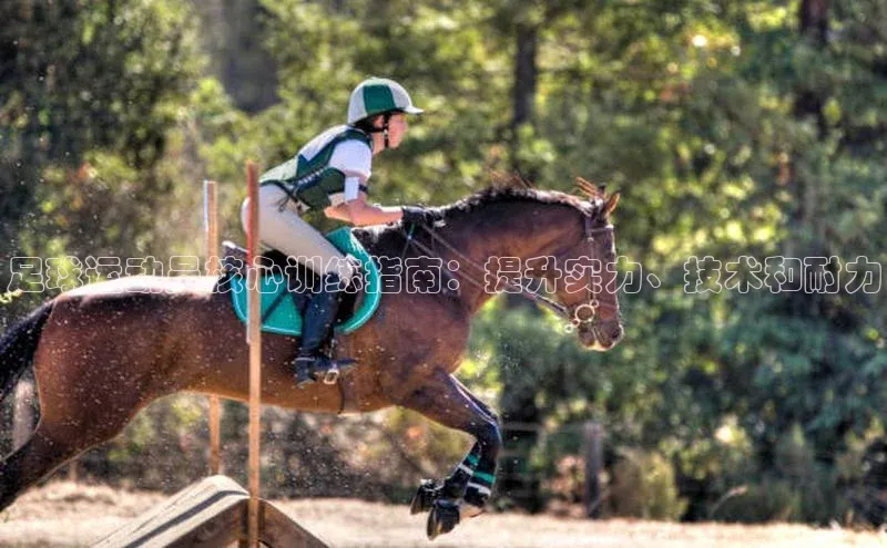 熊猫体育直播免费足球小红书