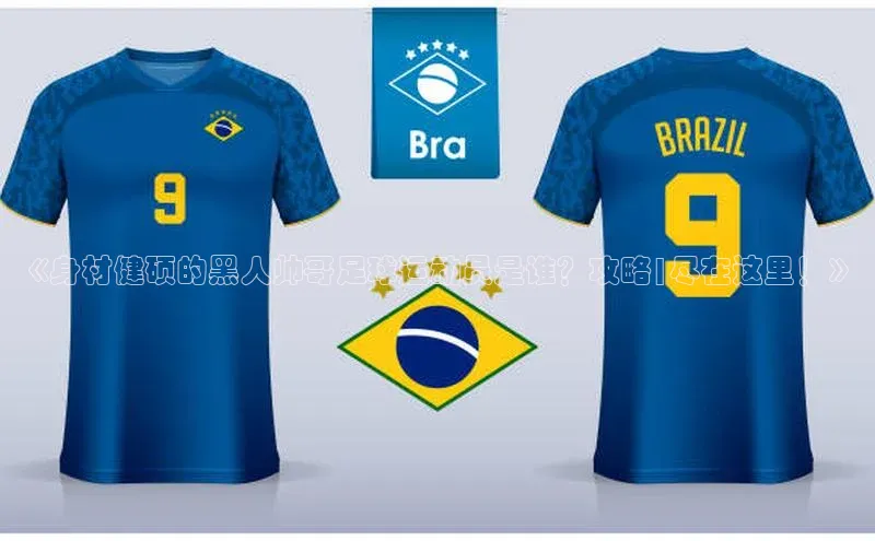 熊猫体育app官网知乎