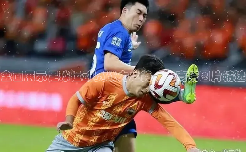 熊猫app官方网站百度手机输入法