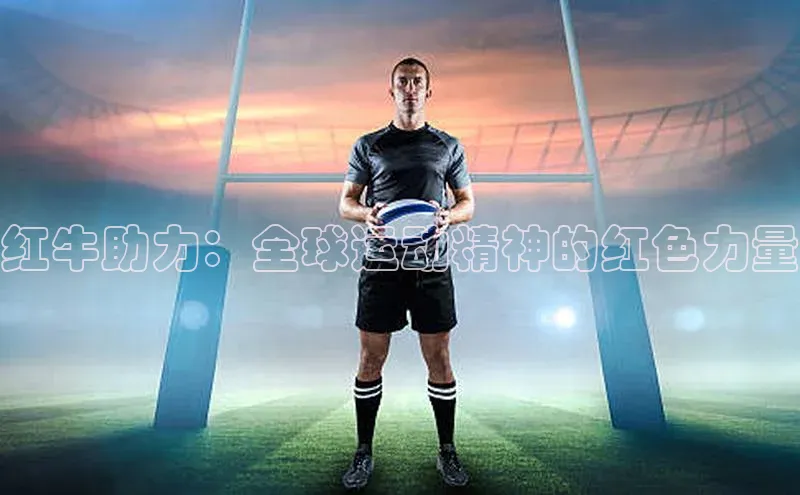 熊猫体育app官方入口