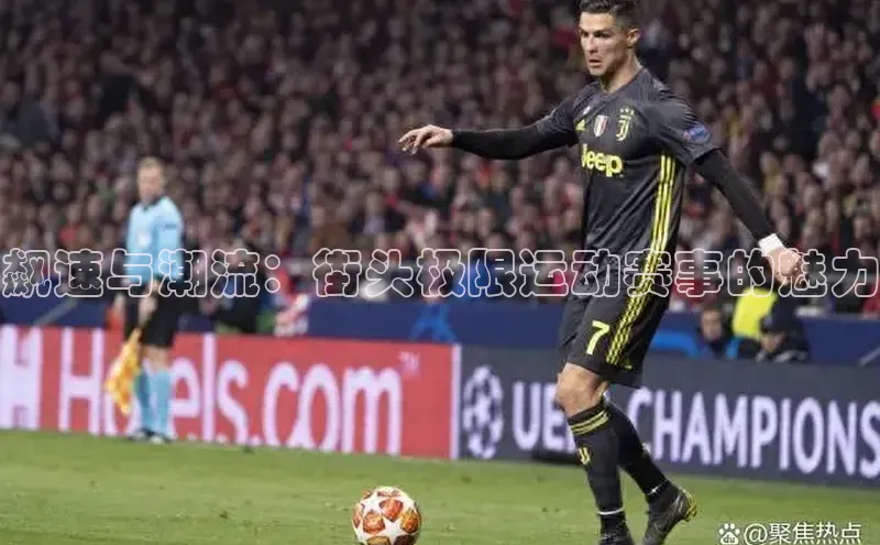 熊猫体育在线直播app