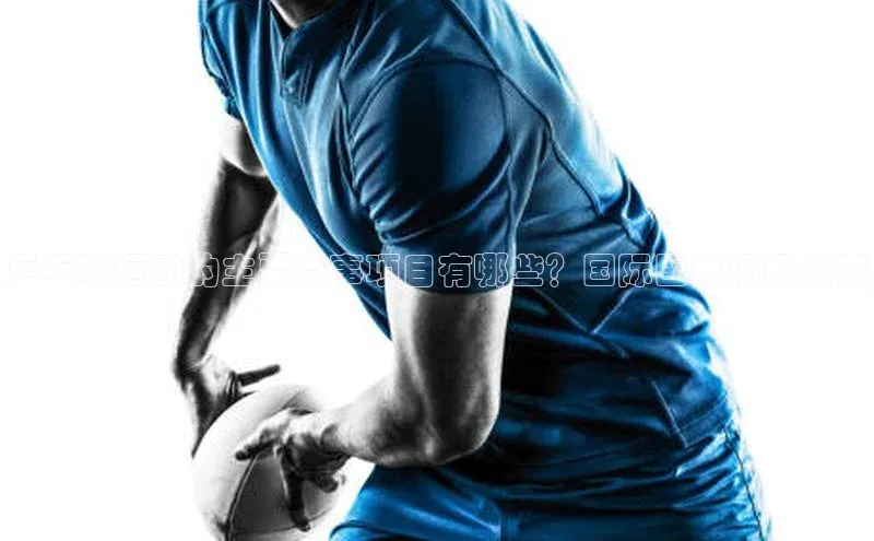 熊猫体育网页版