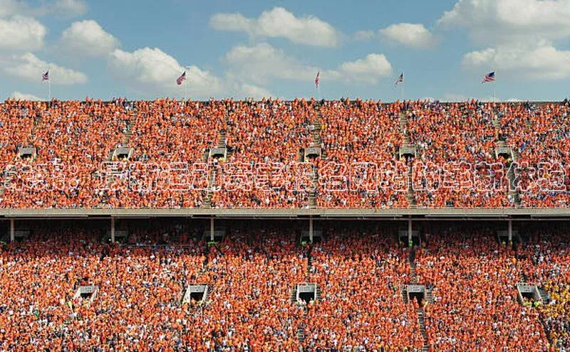 熊猫体育app官网