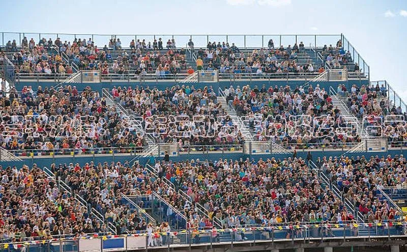 熊猫体育直播app下载