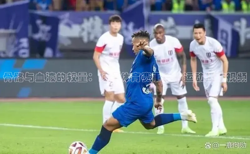 熊猫足球直播免费观看