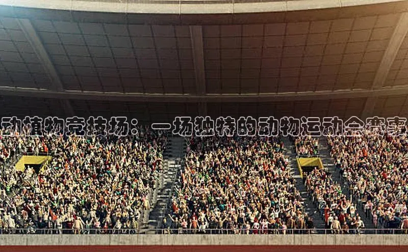 熊猫体育直播app