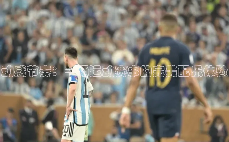 熊猫体育直播免费足球