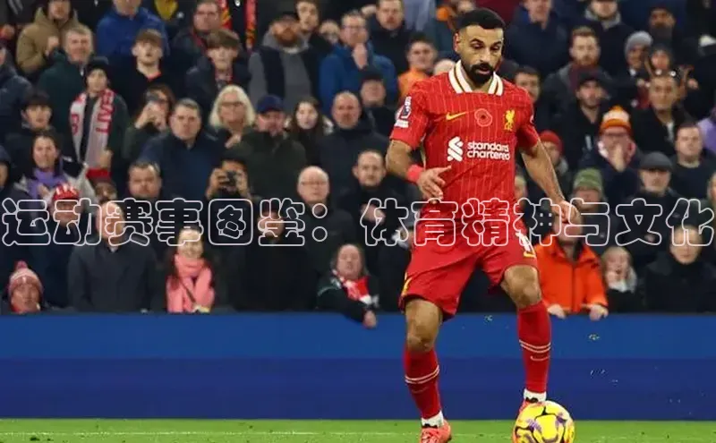 熊猫体育直播免费足球