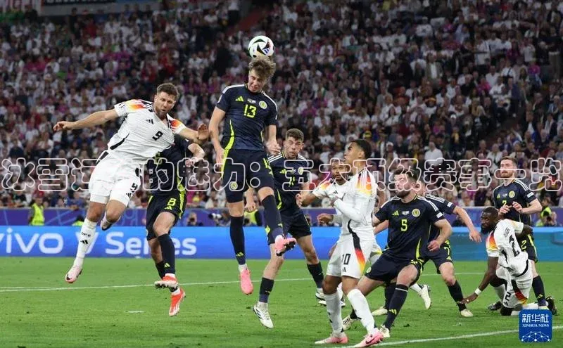 熊猫体育app官方入口