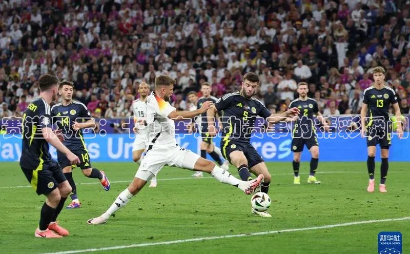 熊猫体育在线观看平台