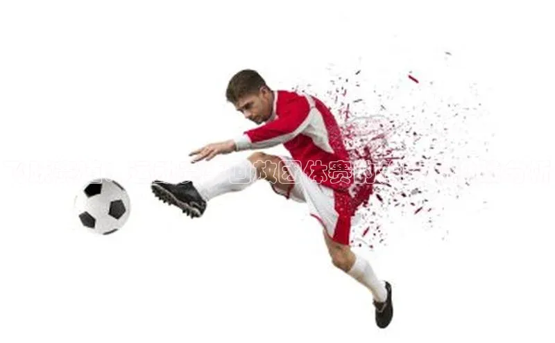 熊猫体育app官网