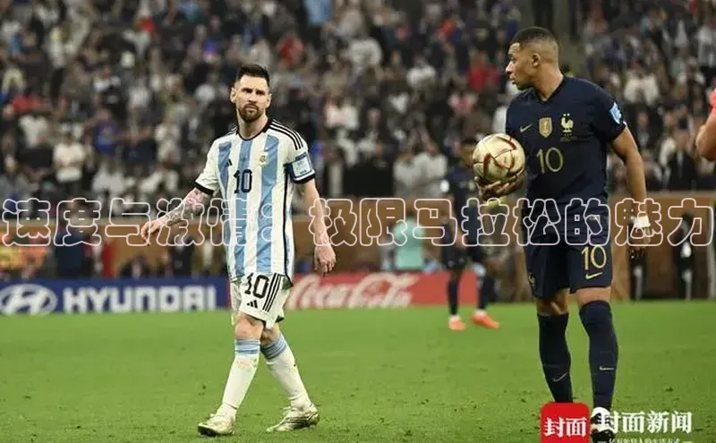 熊猫体育app官网