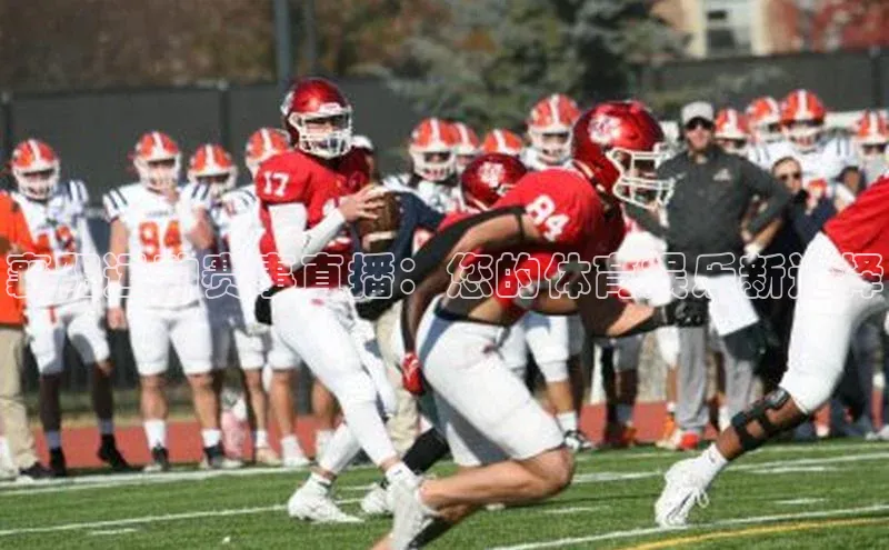 熊猫体育在线直播免费