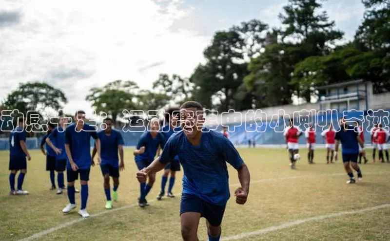 熊猫体育在线直播免费