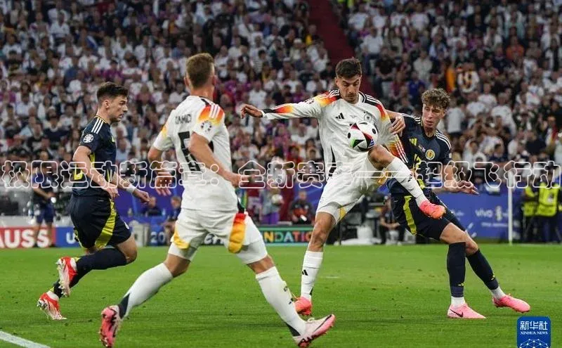 熊猫体育app官方入口