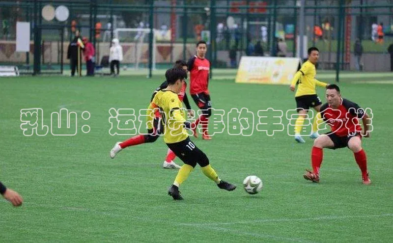 乳山：运动赛事的丰富多样