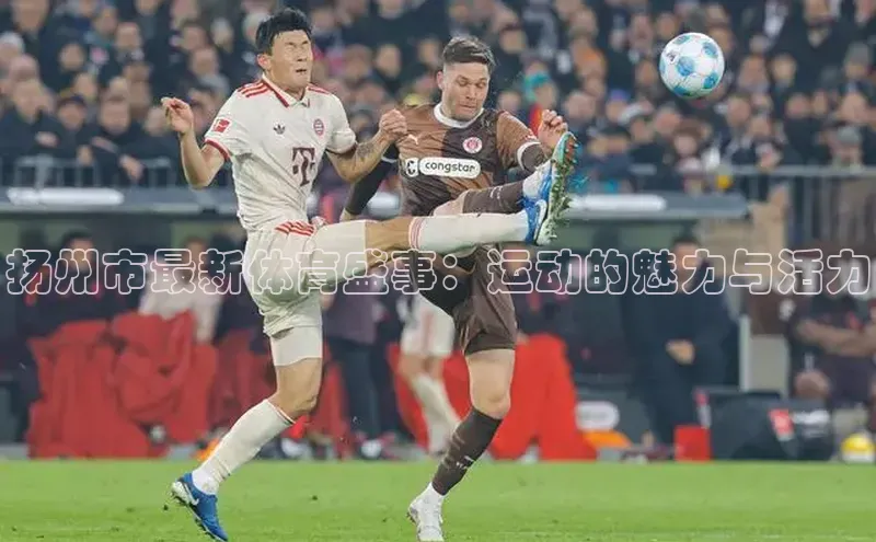 熊猫体育在线观看平台